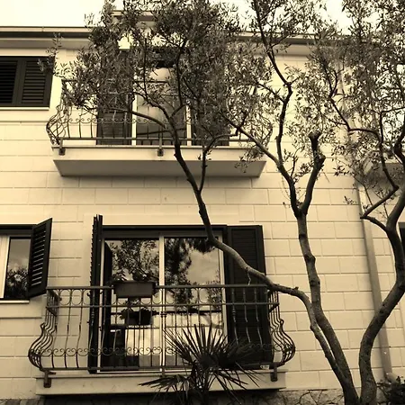 Seaside House Arbanija, Ciovo - 11738